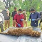 IMG_20251115_180547_454