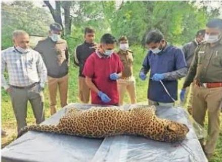 IMG_20251115_180547_454