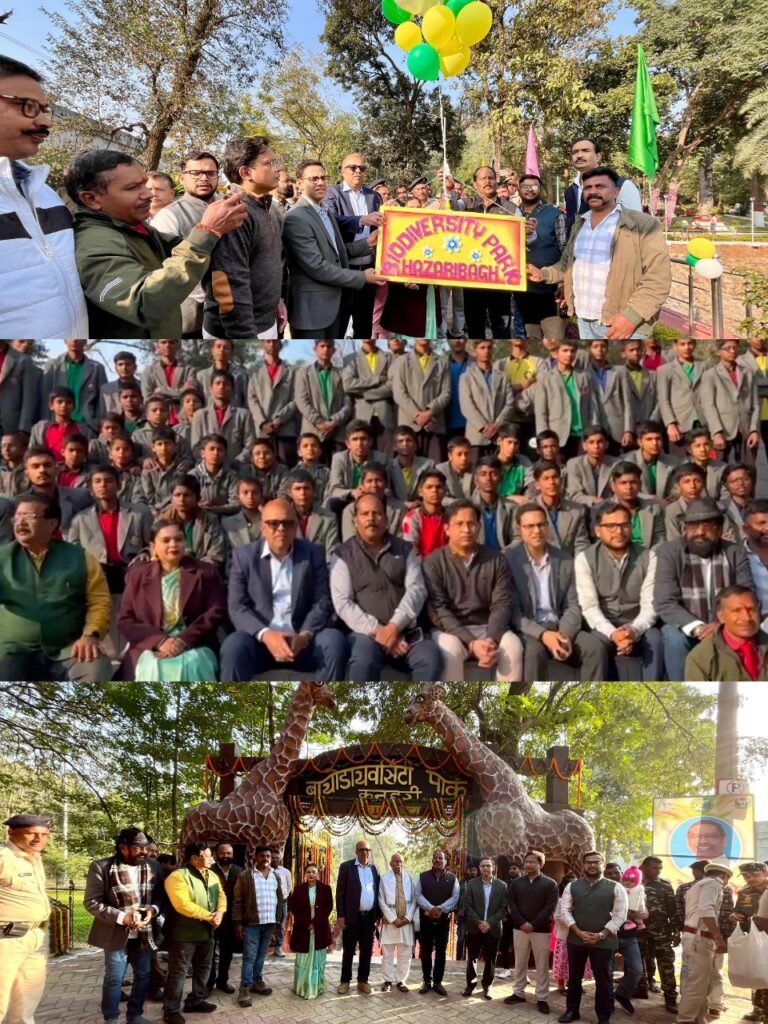 IMG_20251115_214654_047