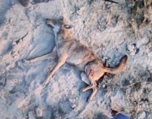 IMG_20251116_113549_314