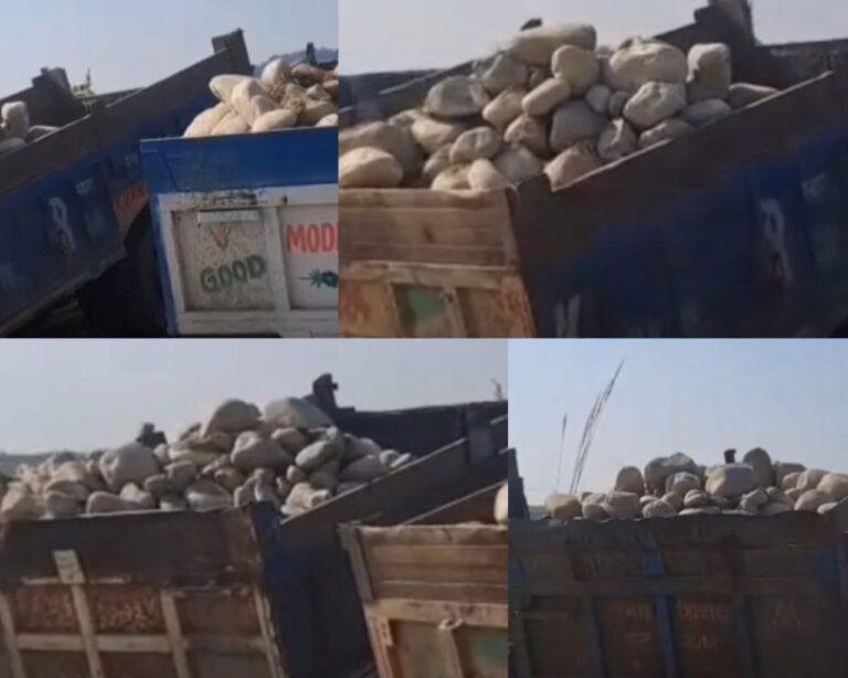 IMG_20251118_121711_646