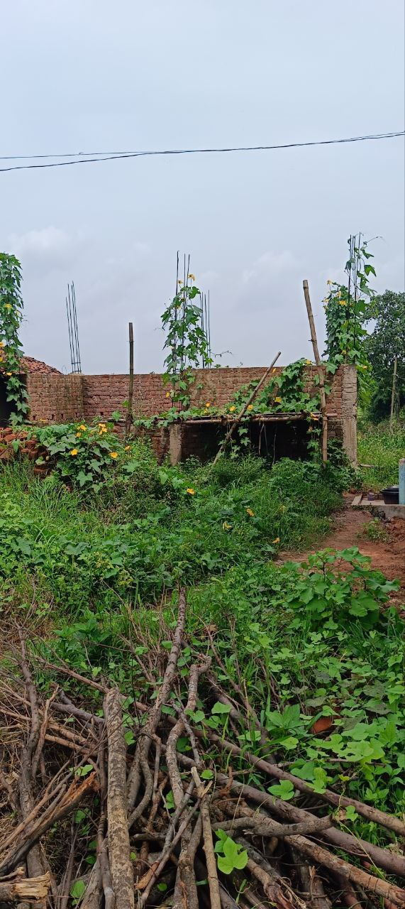 IMG_20251118_135403_903