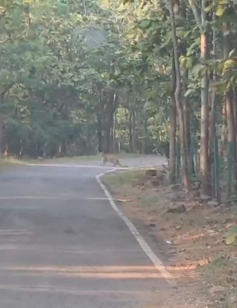 IMG_20251119_193732_542