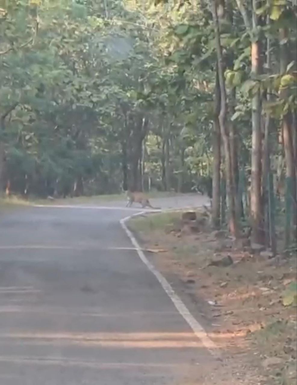 IMG_20251119_193732_542