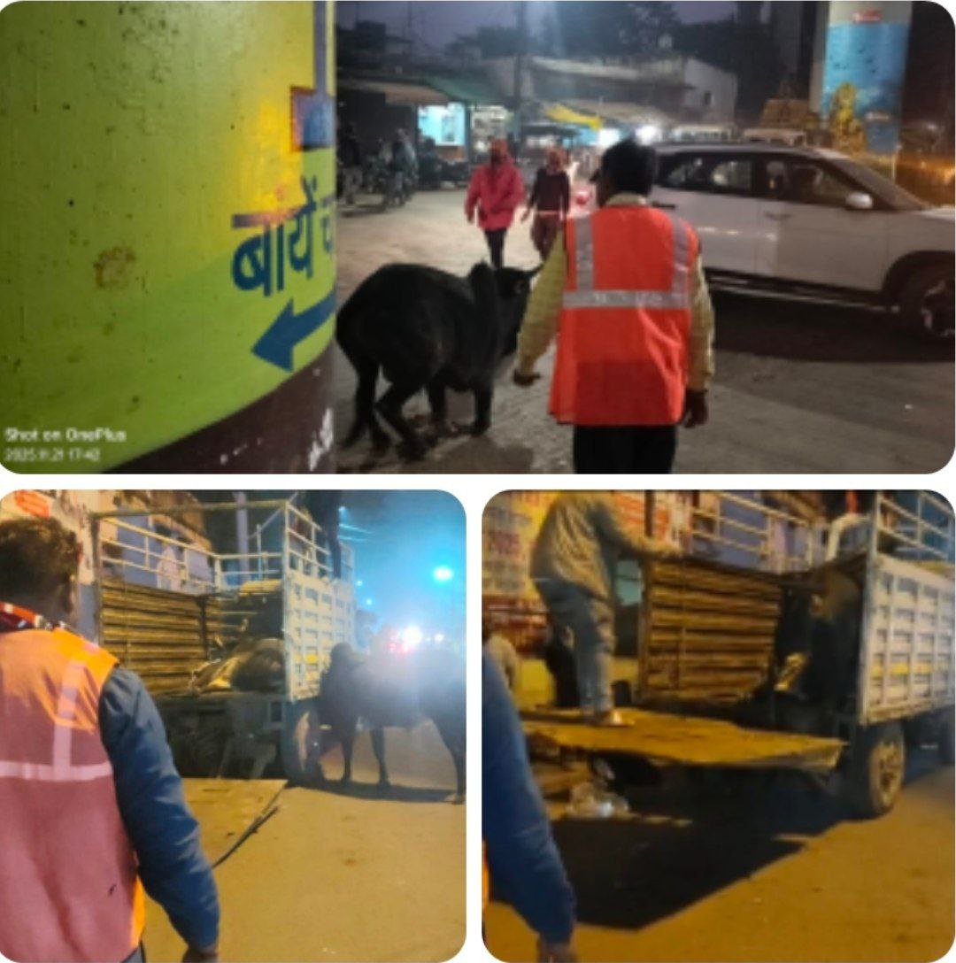 IMG_20251122_155147_293