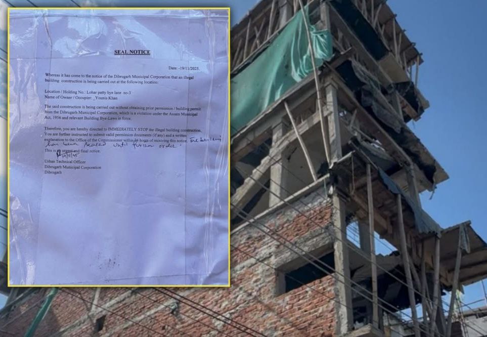 IMG_20251122_205359_978