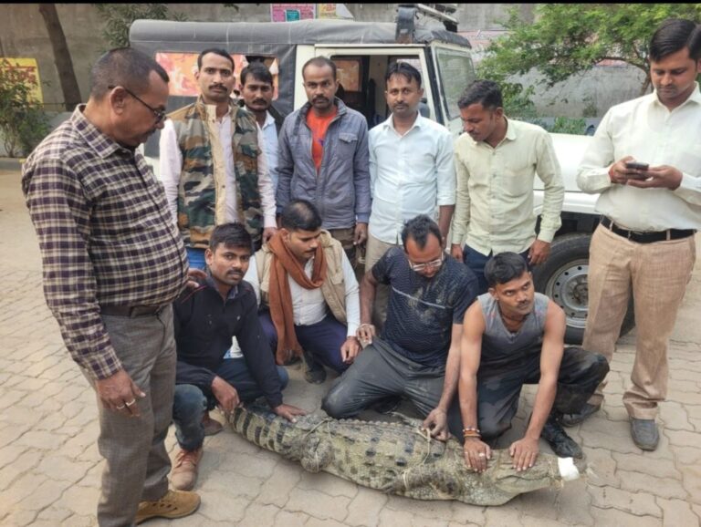 IMG_20251122_210234_017