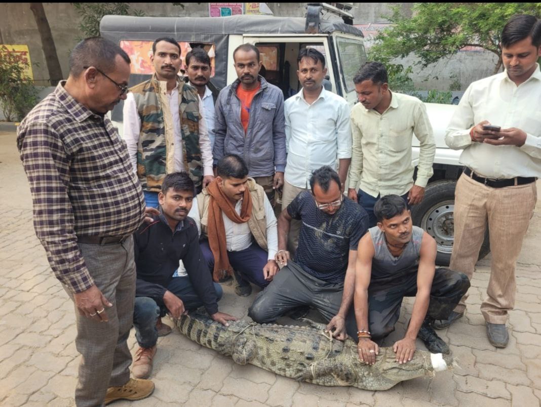 IMG_20251122_210234_017