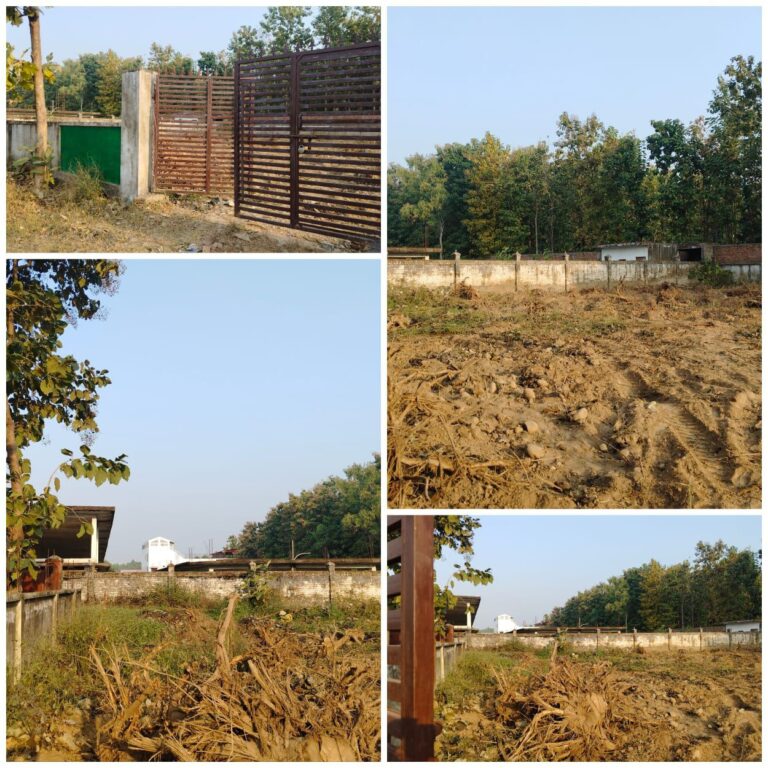 IMG_20251123_141404_401