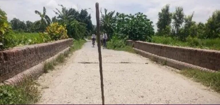 IMG_20251126_184853_866