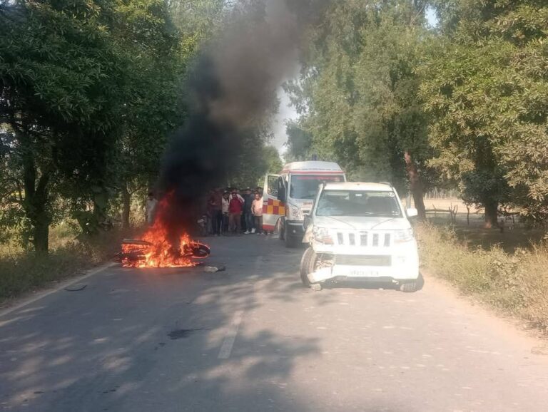 IMG_20251127_142925_645