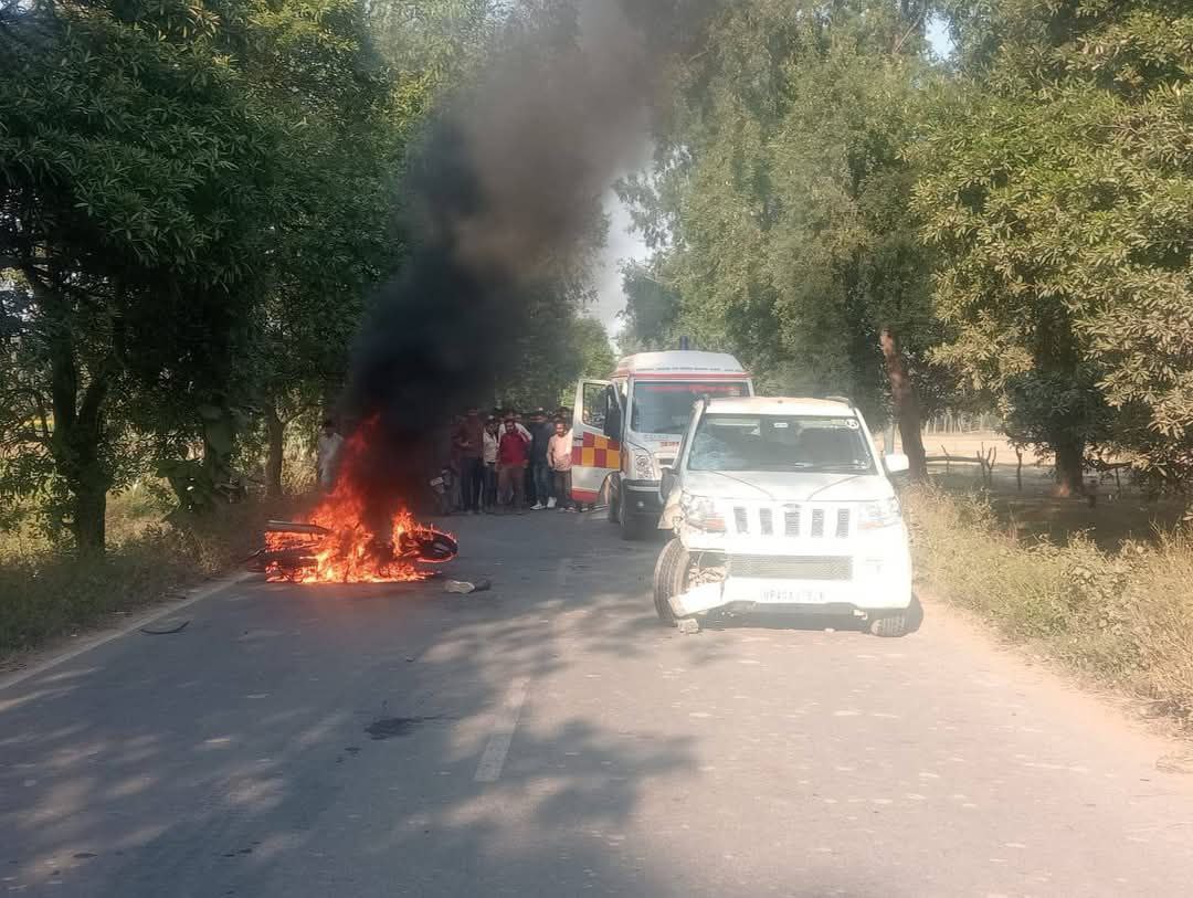 IMG_20251127_142925_645