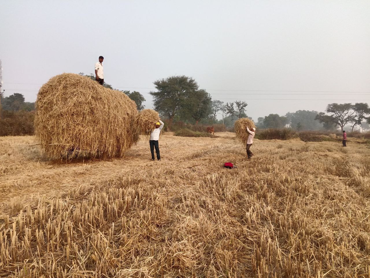 IMG_20251127_143508_782