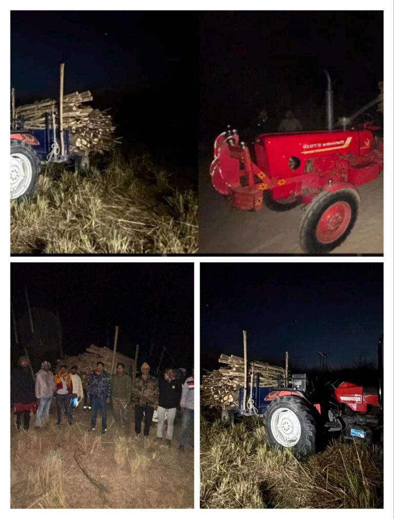 IMG_20251127_175755_843