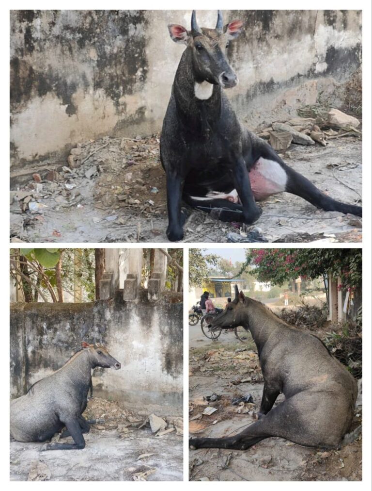 IMG_20251128_184106_383