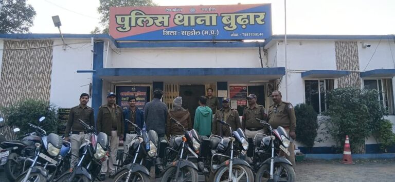 IMG_20251129_120259_039