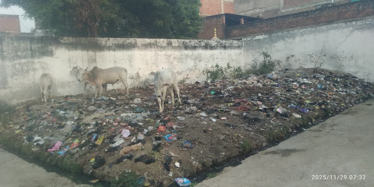 IMG_20251129_201209_875