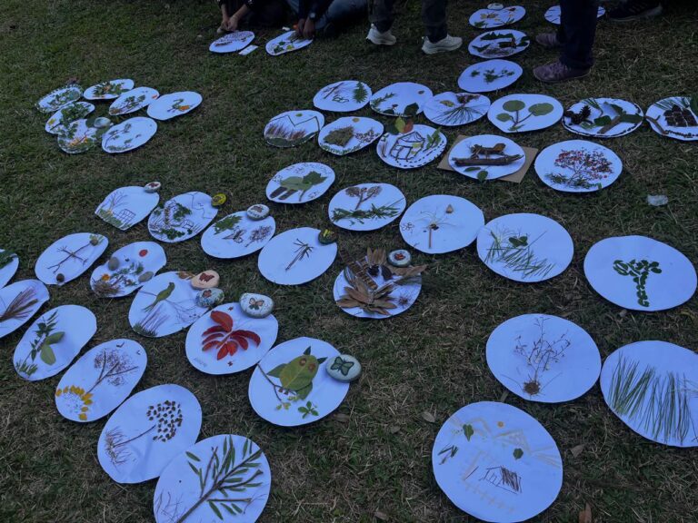 IMG_20251203_135545_153