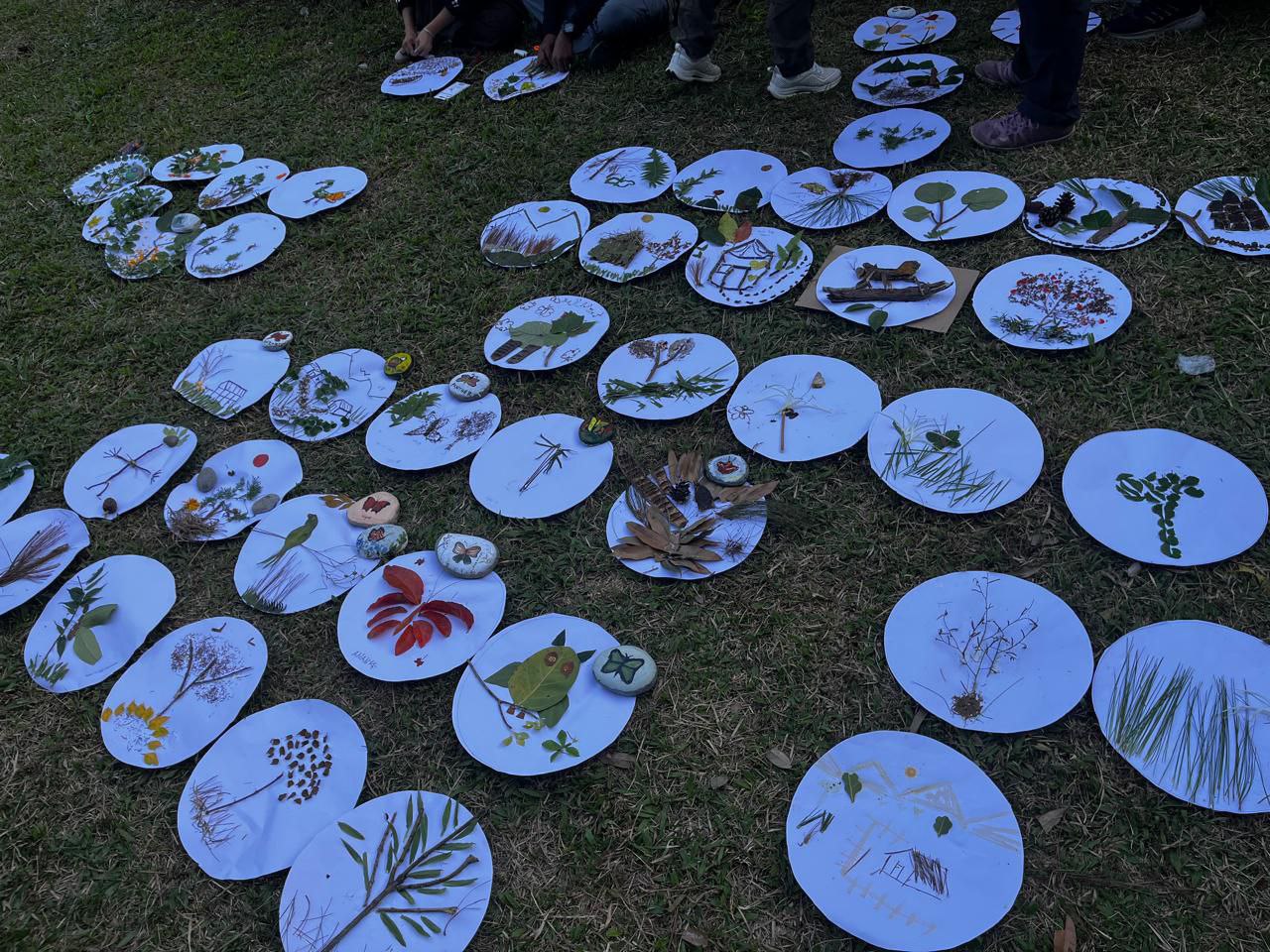 IMG_20251203_135545_153