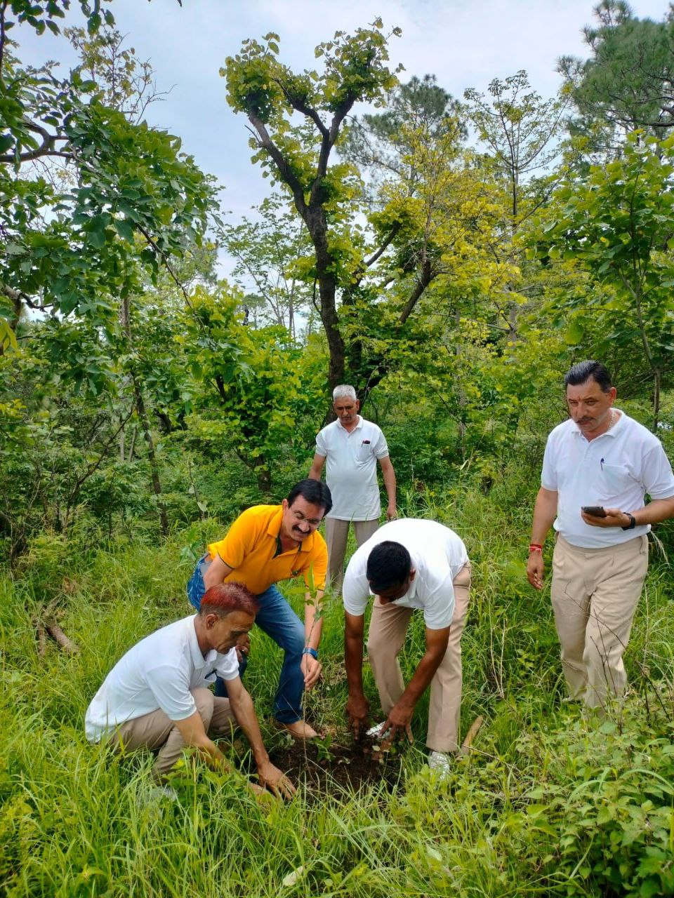 IMG_20251203_191836_841