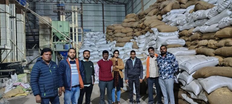 IMG_20251204_113454_996