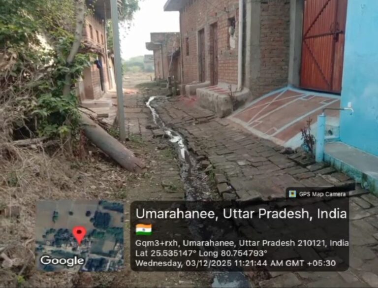 IMG_20251204_113611_878