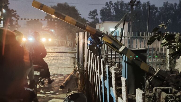 IMG_20251212_074008_818