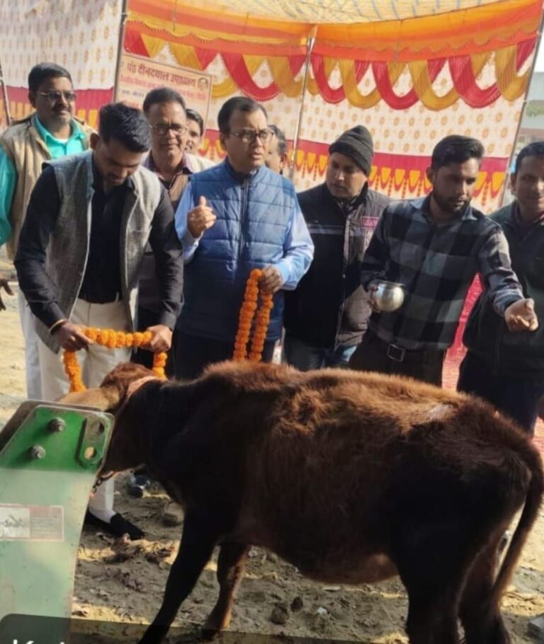 IMG_20251212_074019_716