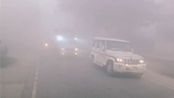 IMG_20251213_085645_134