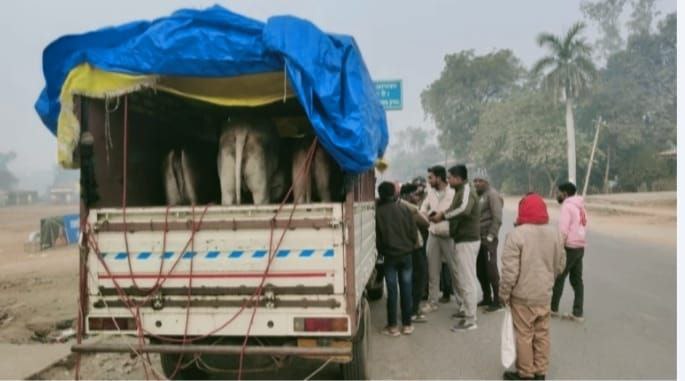 IMG_20251213_203320_132