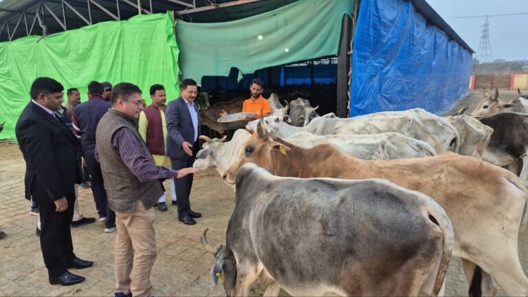 IMG_20251214_181824_099