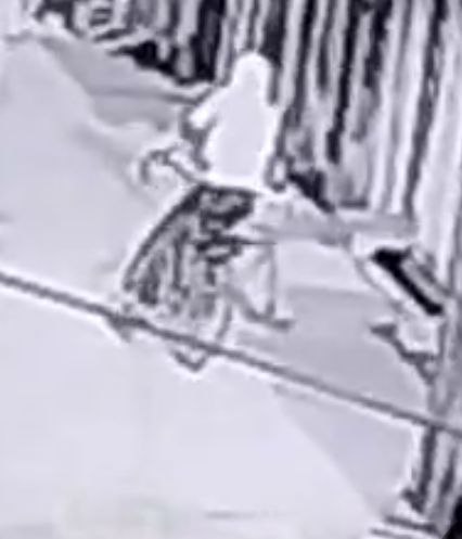 IMG_20251215_081947_379