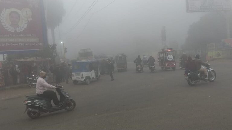 IMG_20251215_150728_455