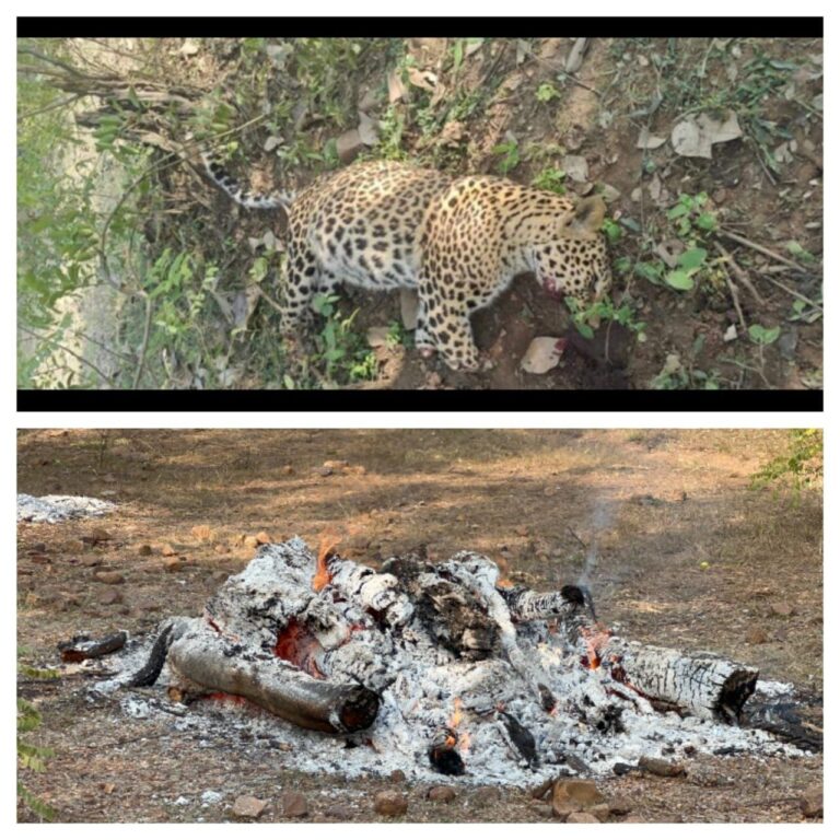 IMG_20251216_152513_915