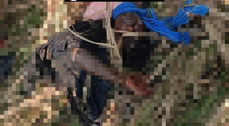 IMG_20251216_184443_079