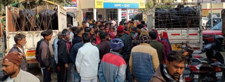 IMG_20251225_181723_380