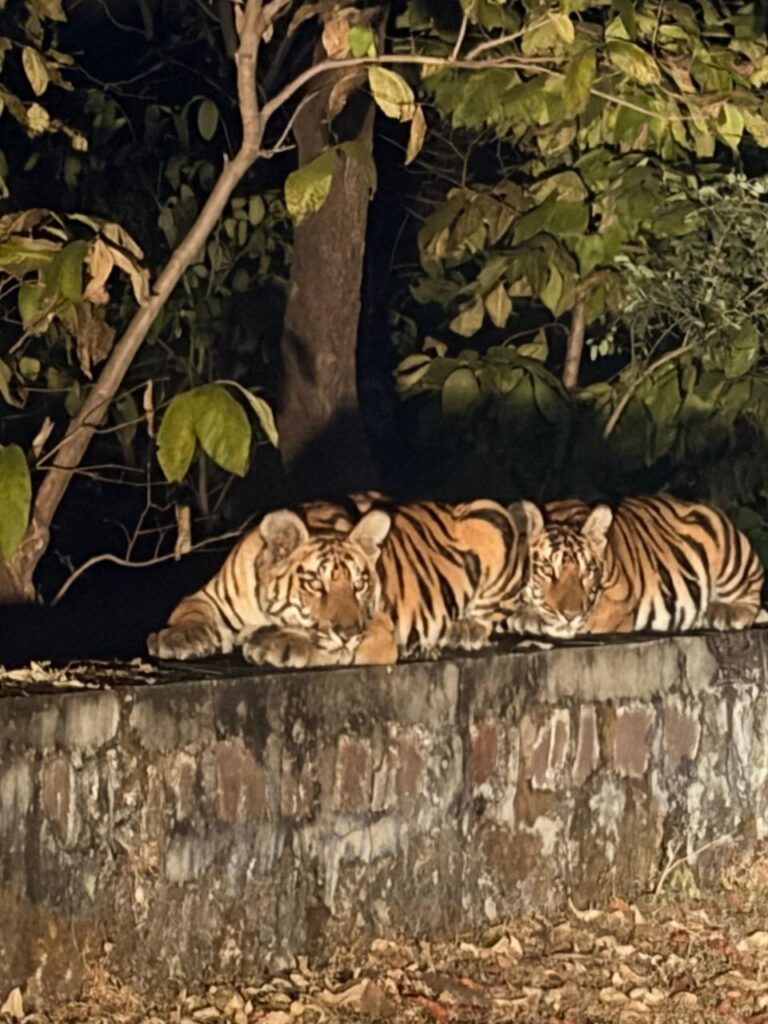 IMG_20251227_170027_857