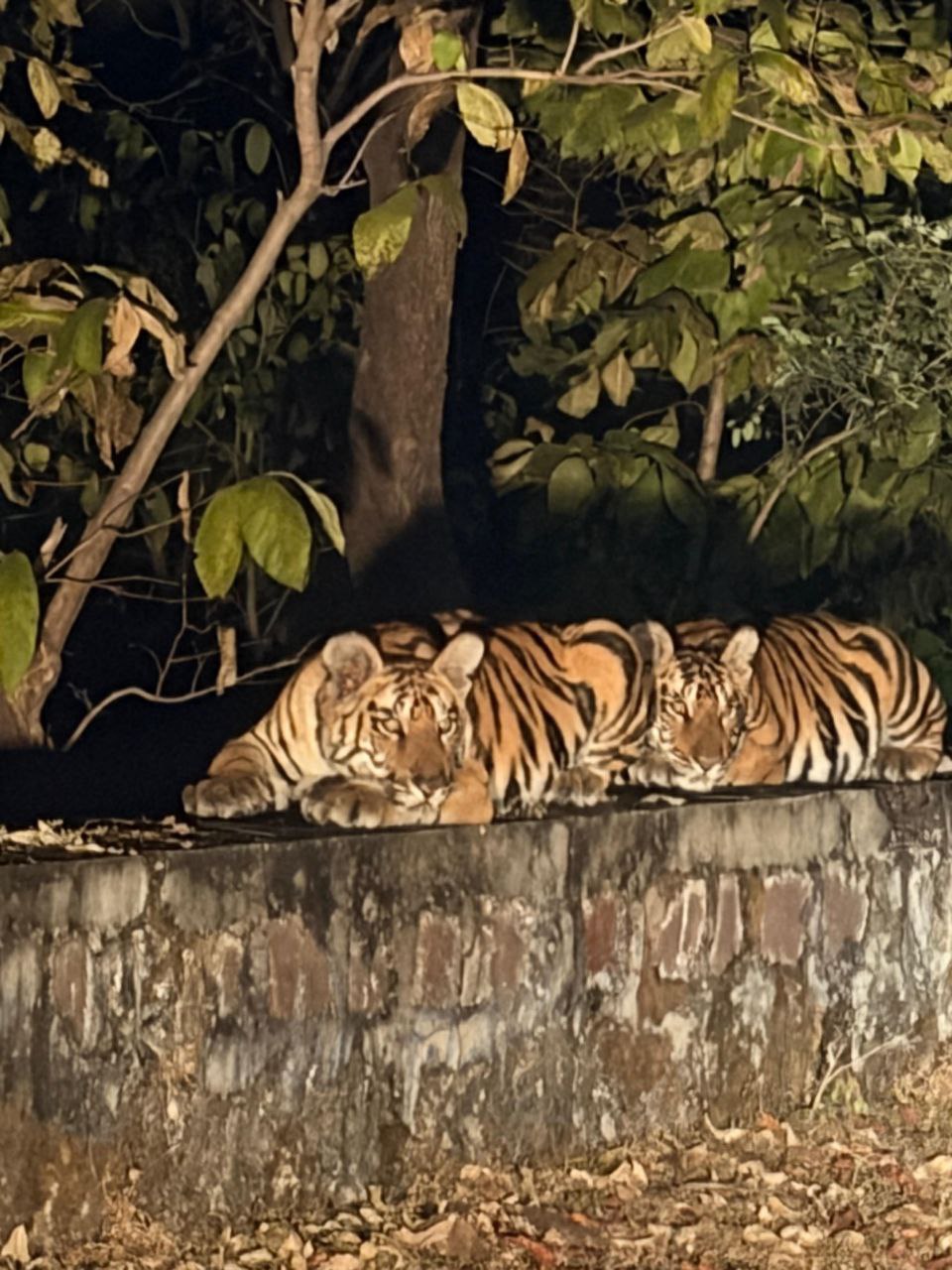 IMG_20251227_170027_857