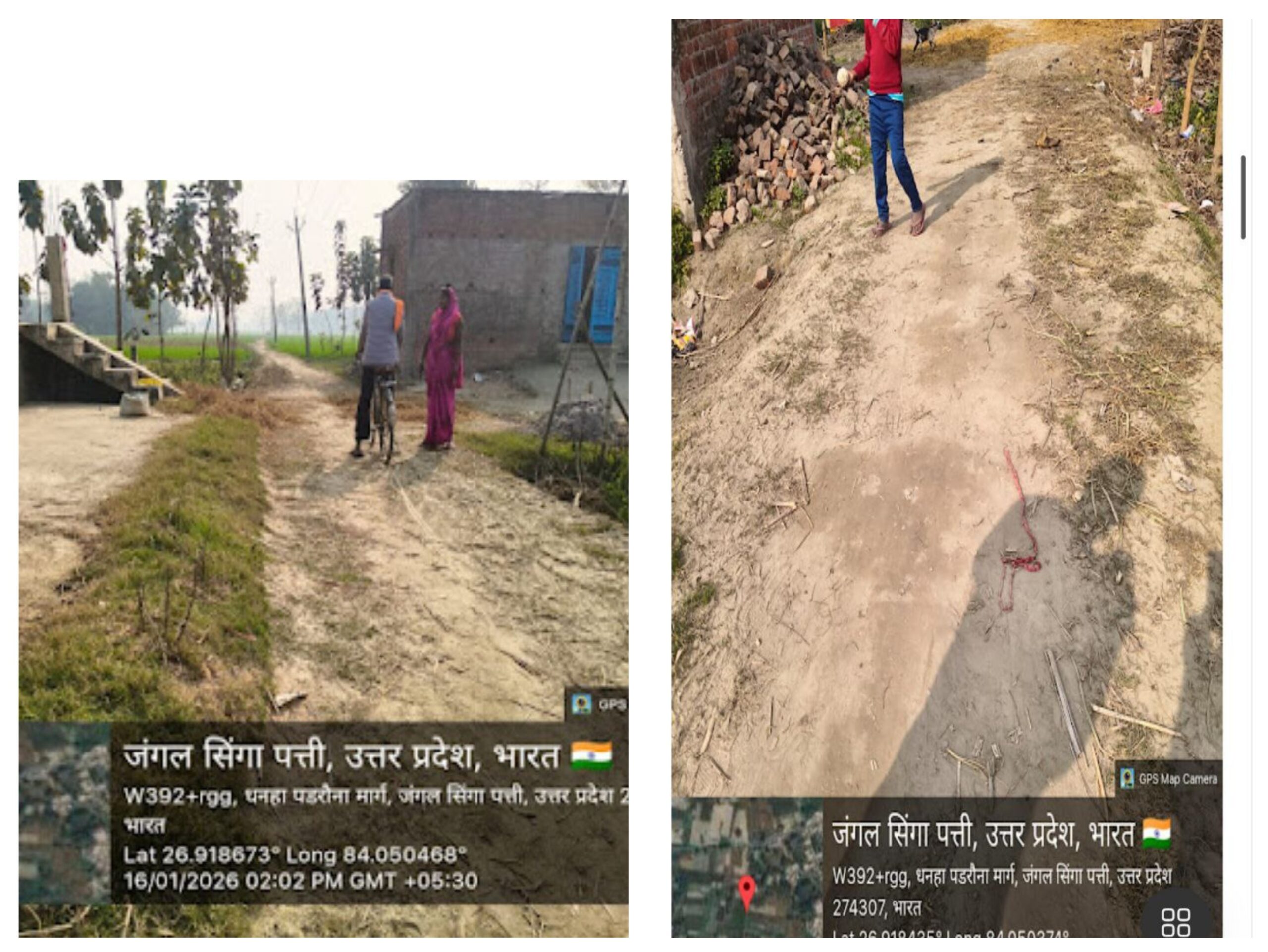 20260125_190004-COLLAGE