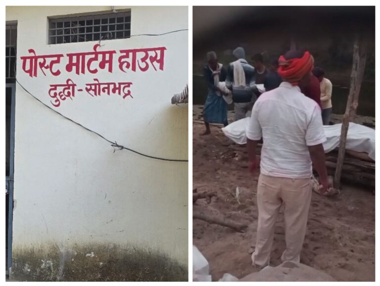 20260125_215349-COLLAGE