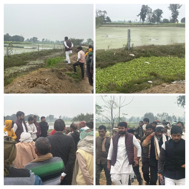 20260128_133410-COLLAGE