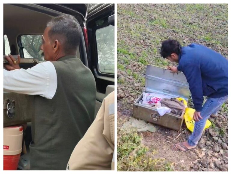 20260128_160533-COLLAGE