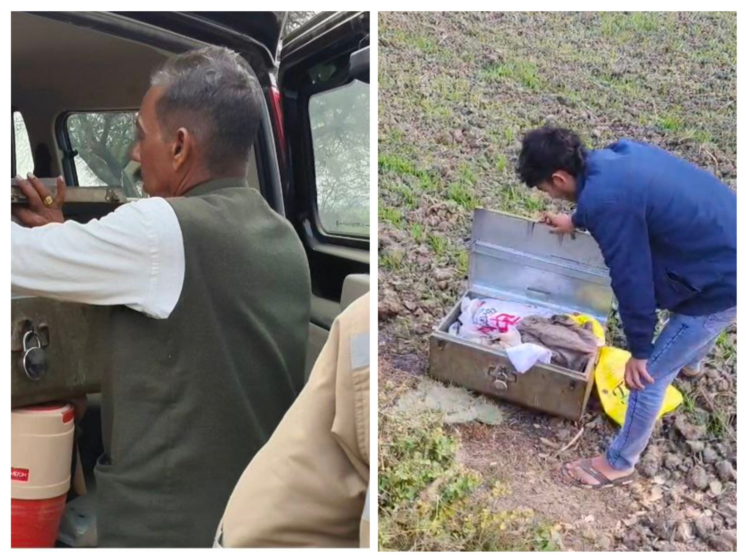 20260128_160533-COLLAGE