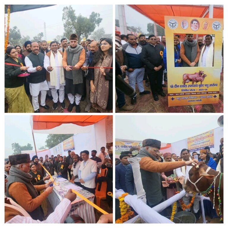 20260131_164244-COLLAGE