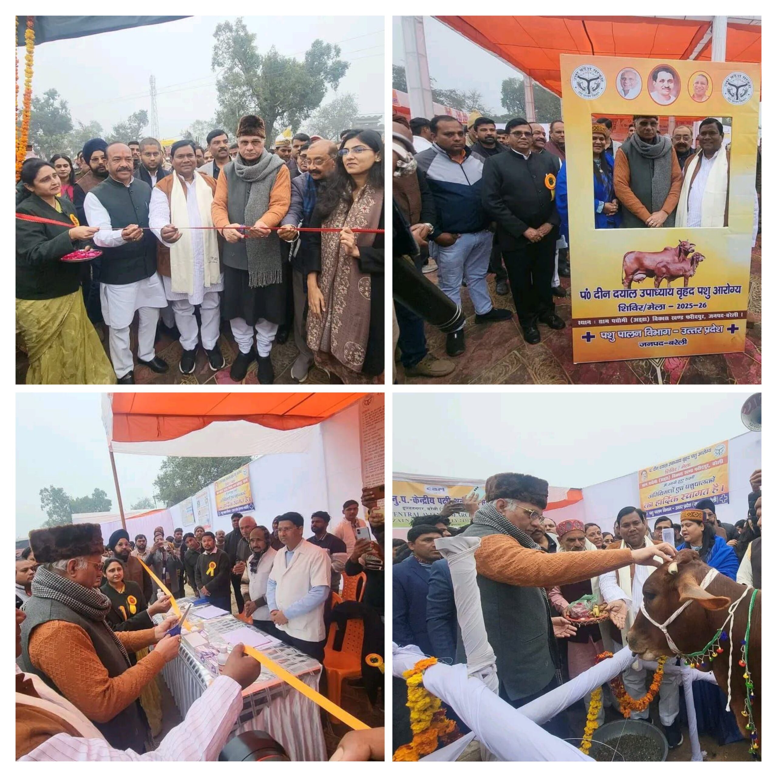 20260131_164244-COLLAGE