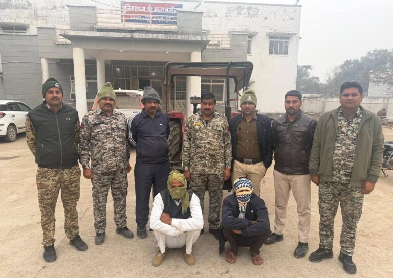 6265009619075795890 (1)