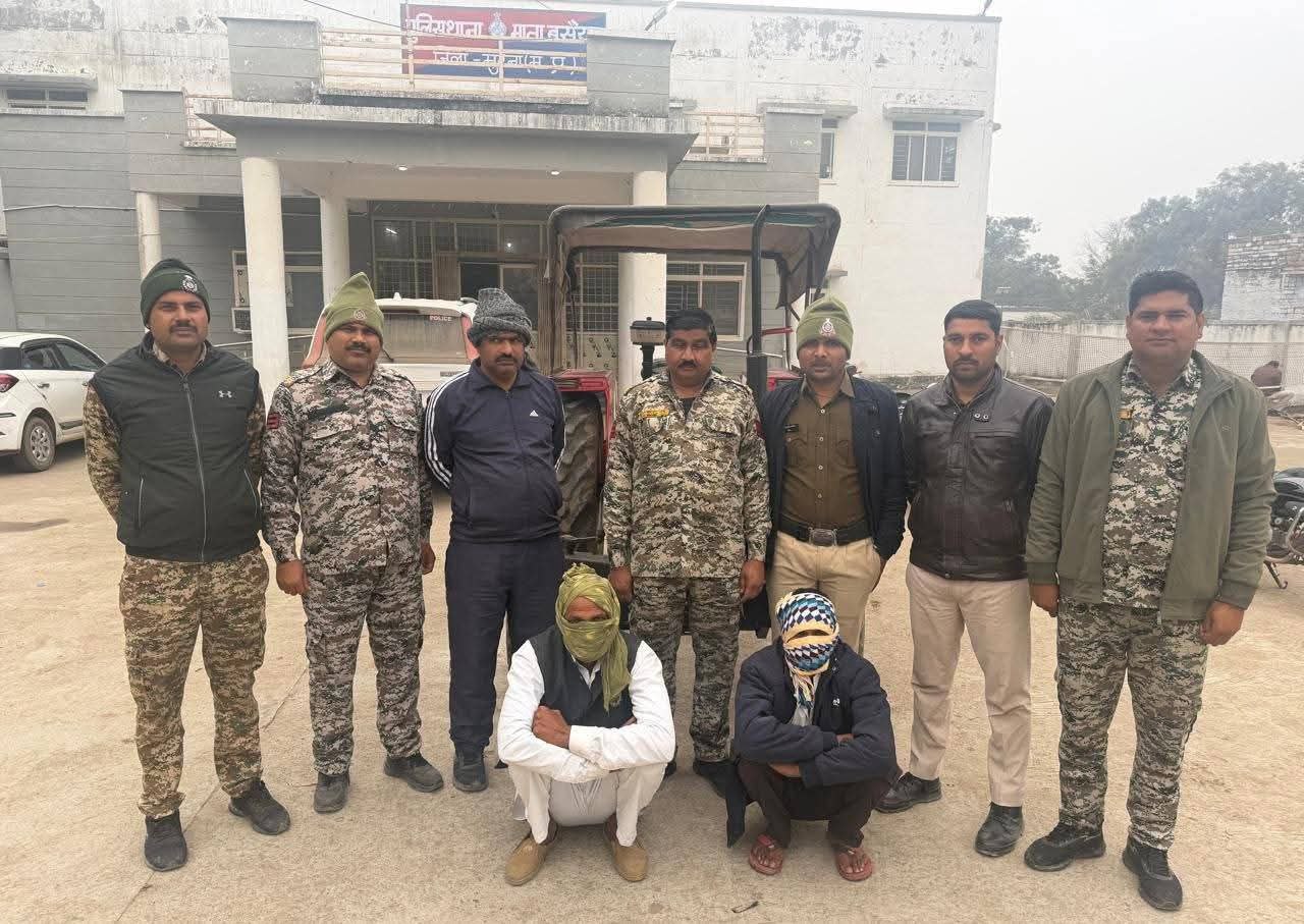 6265009619075795890 (1)