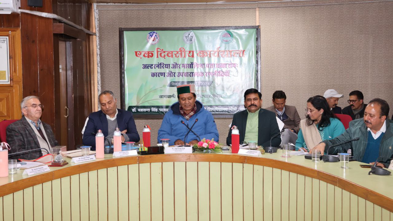 IMG_20260116_183615_872