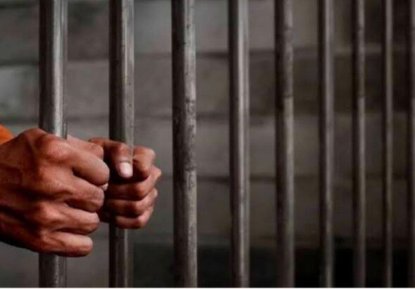 IMG_20260117_125203_800