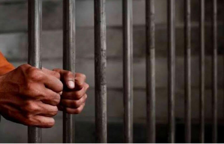 IMG_20260117_125203_800